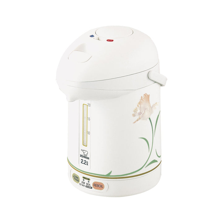 Micom Super Boiler CW-PZC22/30 O2